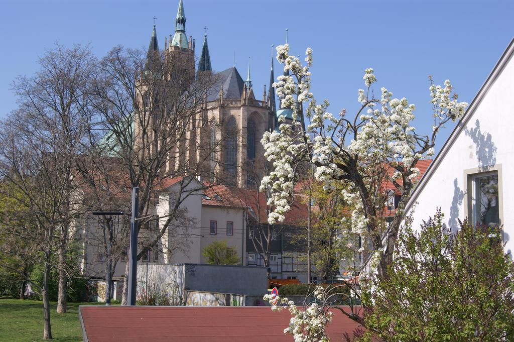 Pension Am Dom Erfurt Exteriér fotografie